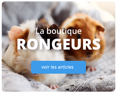 rongeurs