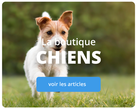 Vente de produits alimentaires et daccessoires pour chiens