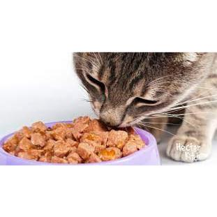 Nourriture pour chat en ligne