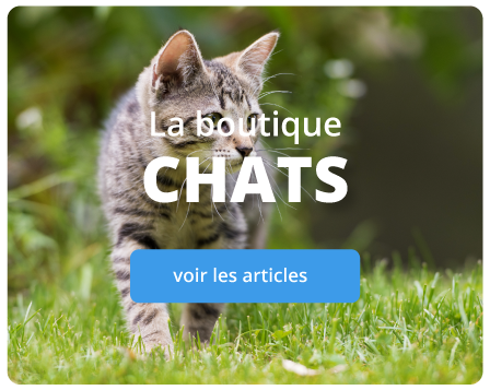 Vente de nourriture, jouets et accessoires pour chats