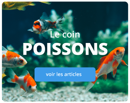 poissons