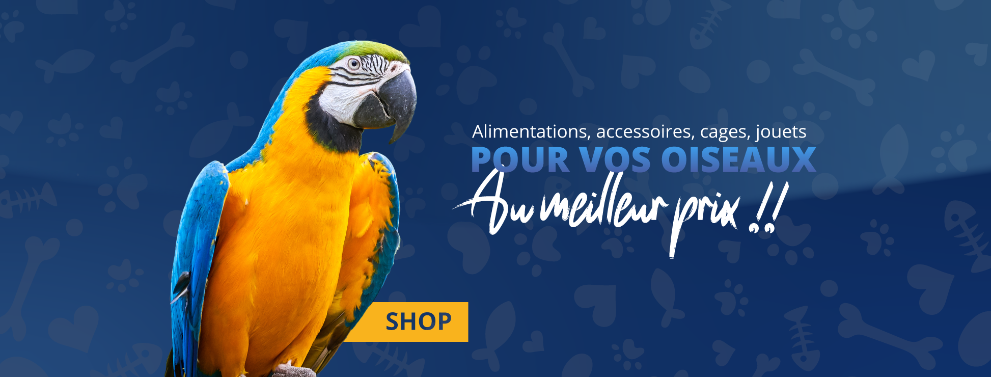 oiseaux