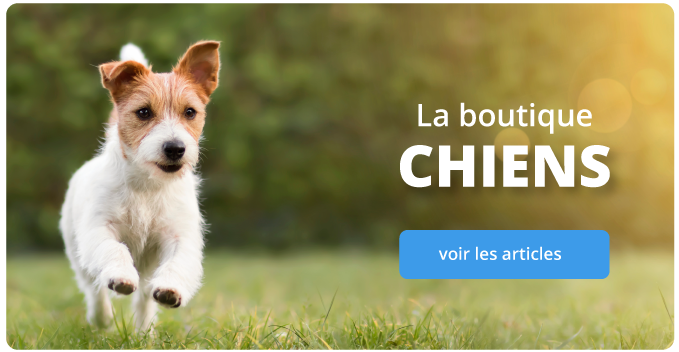 chiens